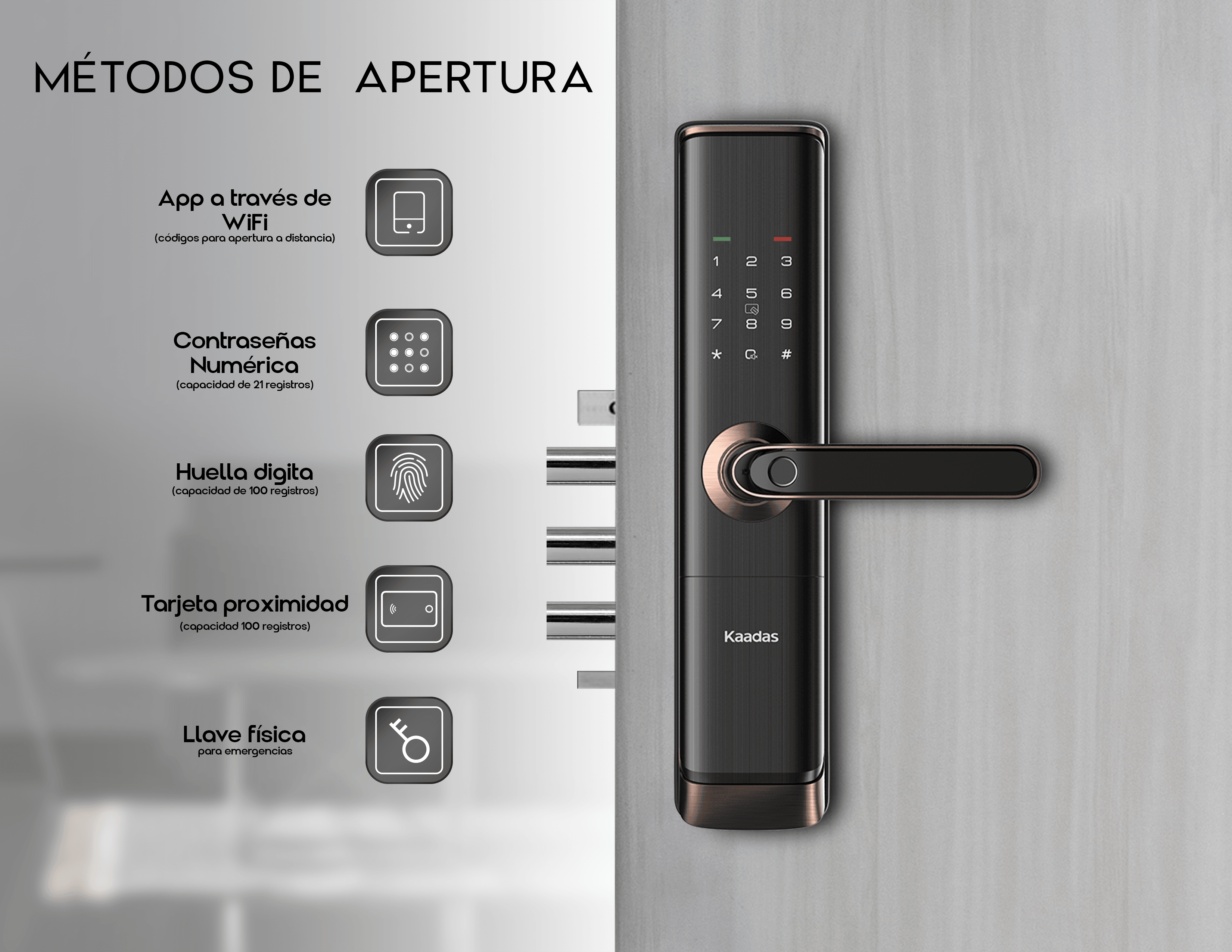 S110-5W Cerradura de Puerta Inteligente