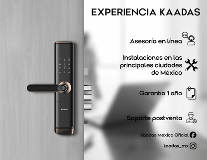 S110-5W Cerradura de Puerta Inteligente