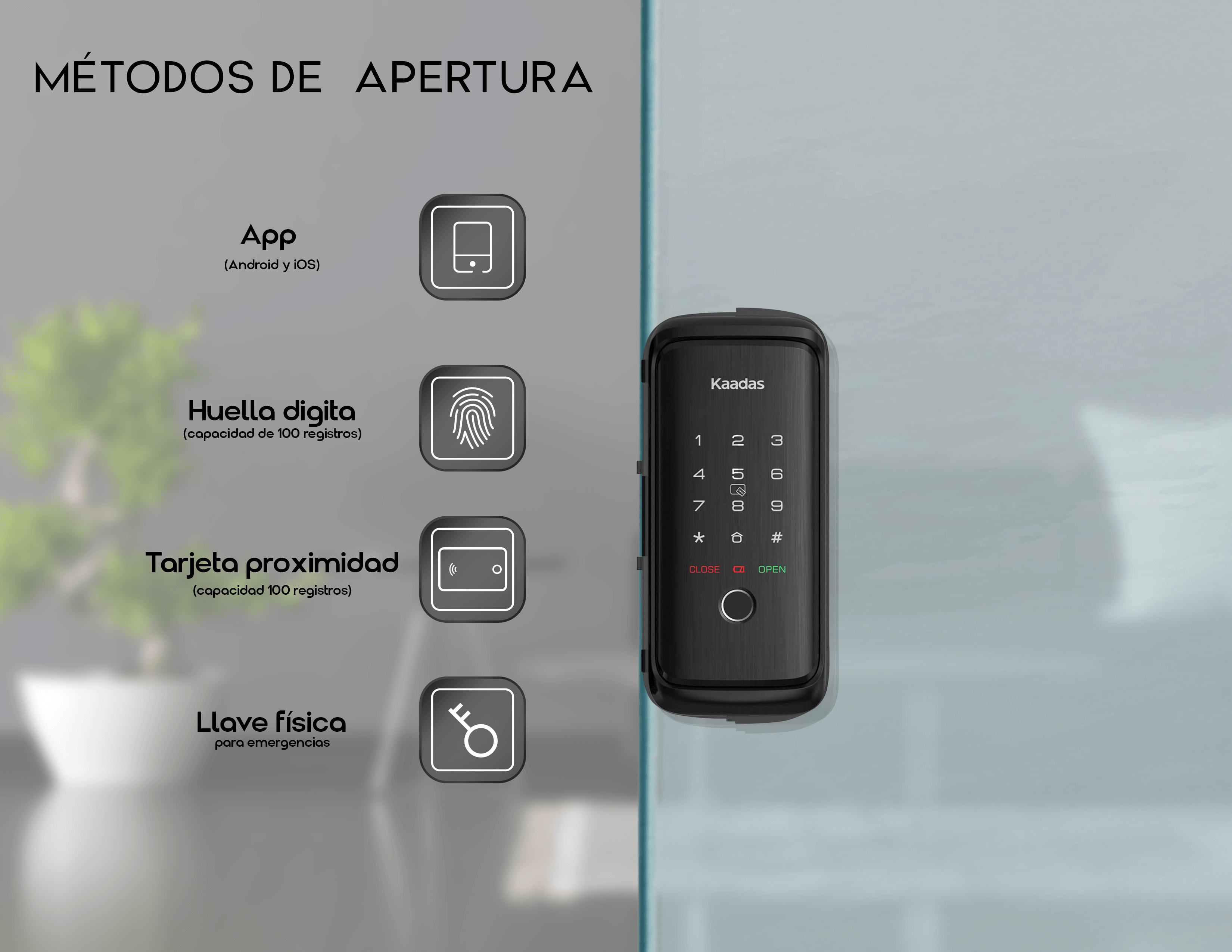 R8-5GL Cerradura de Puerta Inteligente de Vidrio