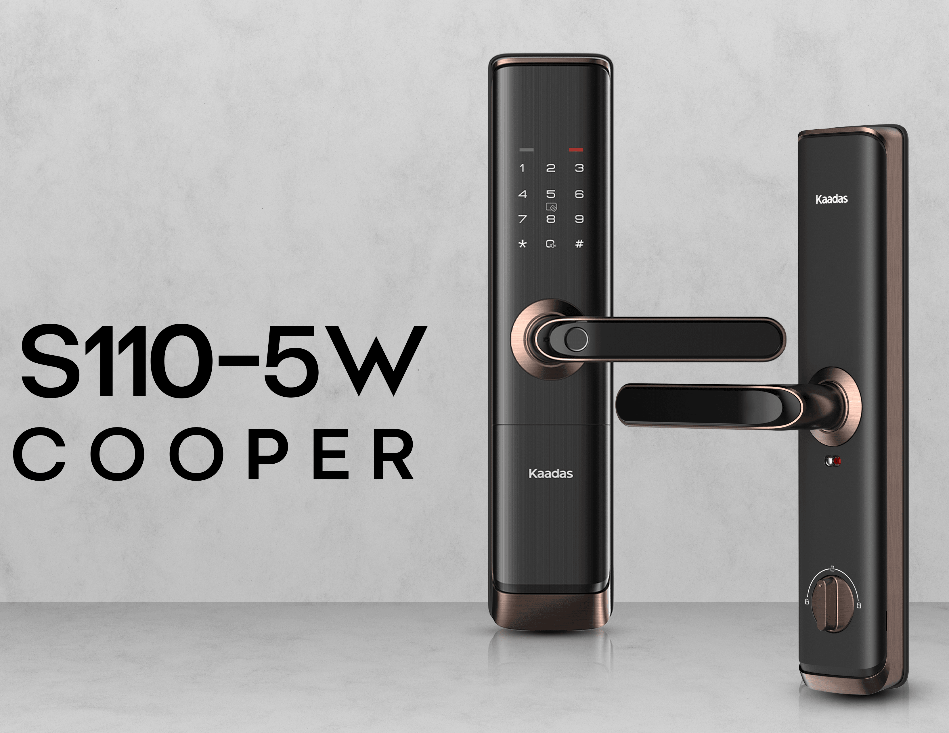 S110-5W Cerradura de Puerta Inteligente