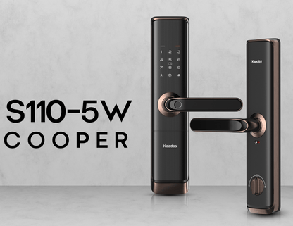 S110-5W Cerradura de Puerta Inteligente
