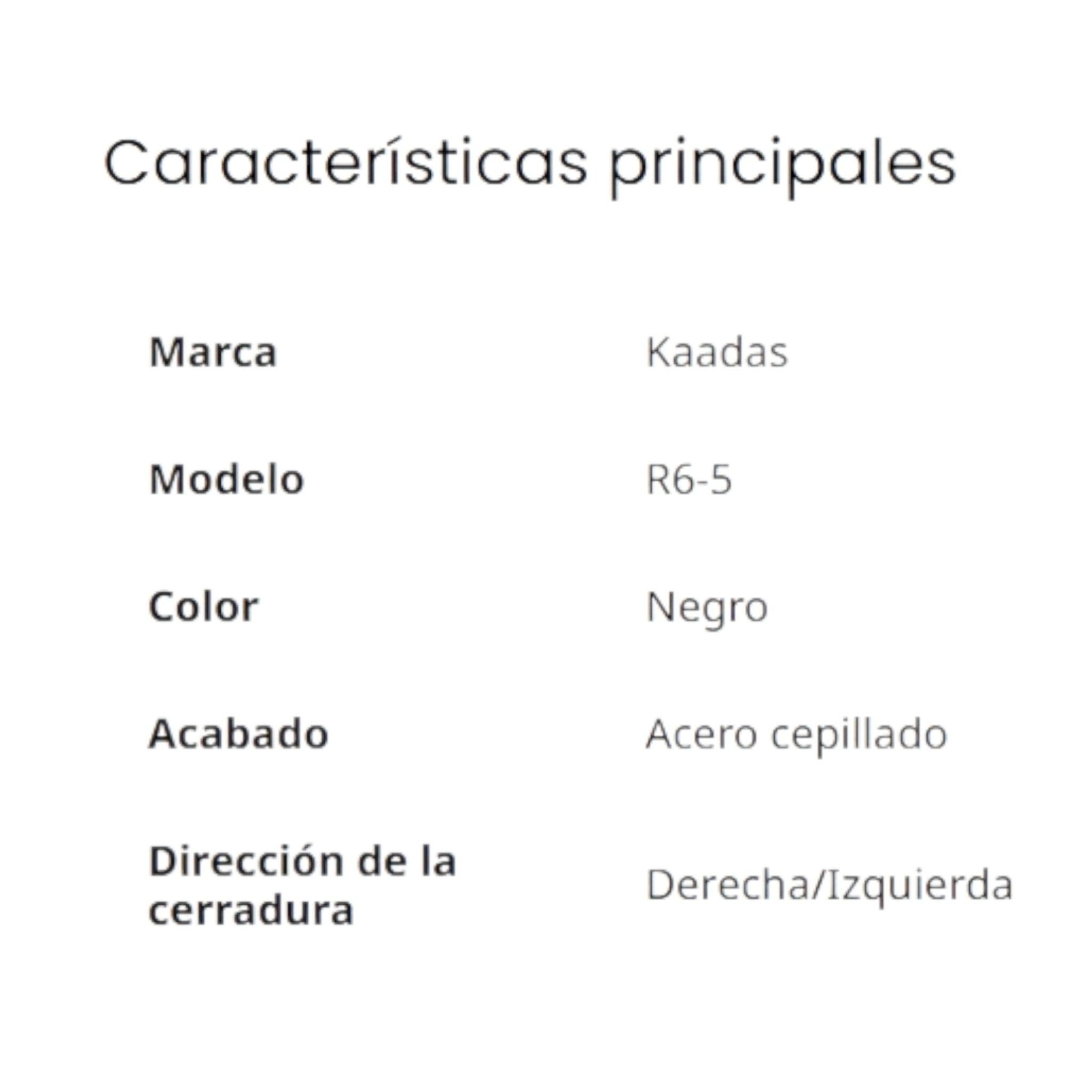 R6-5 Cerradura de Puerta Inteligente de Sobreponer